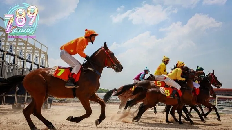 Giới thiệu chung về đua ngựa trực tuyến tại 789club